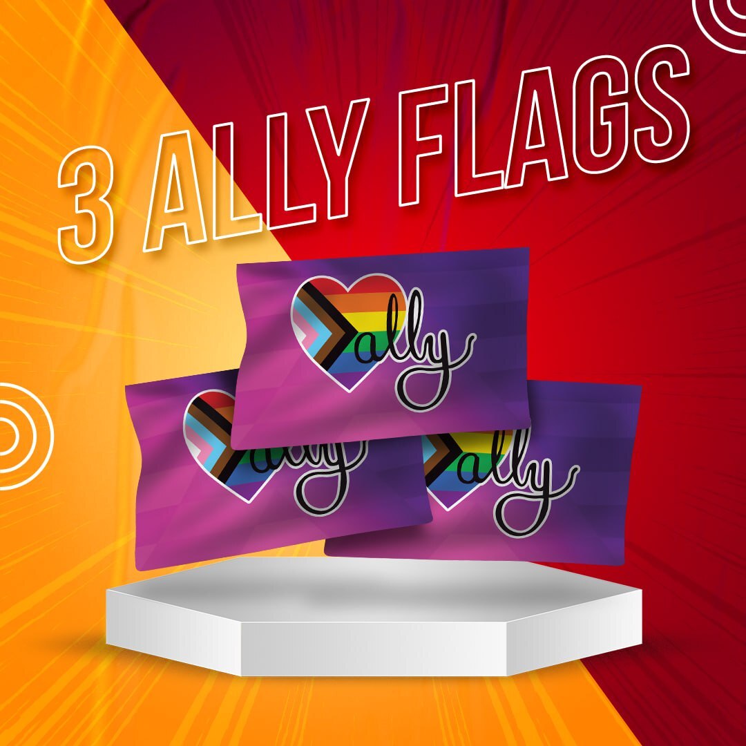Ally Flag 3 Pack