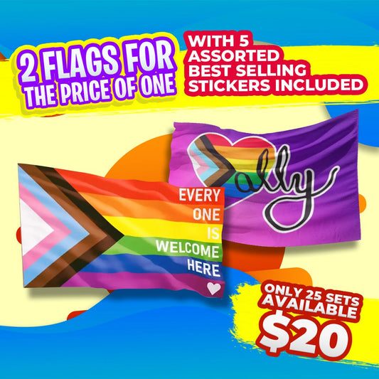 Everyone is Welcome & Ally 3x5 Outdoor Flag Discount Set with Stickers