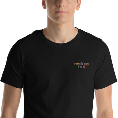 Sounds Gay I'm In Embroidered Unisex T-Shirt