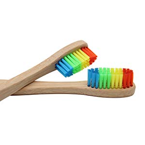 Wooden Rainbow ToothBrush