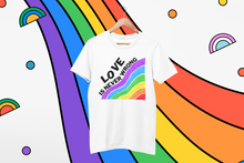 Load image into Gallery viewer, Love Is Never Wrong LGBT