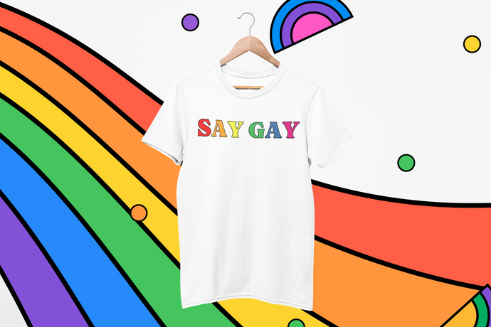 Say Gay LGBT